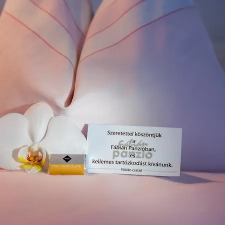 Maison d'hôtes Fabian Panzio