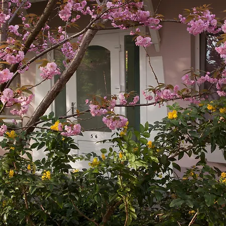 Maison d'hôtes Fabian Panzio Kecskemét