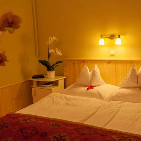 Maison d'hôtes Fabian Panzio 3*